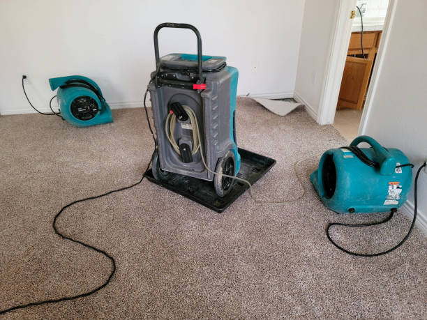 Best Water damage cleanup near me  in South Point, OH