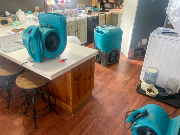 Best Water damage mitigation services  in South Point, OH