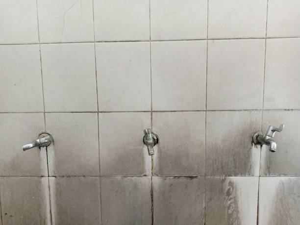 Best Commercial water damage restoration  in South Point, OH