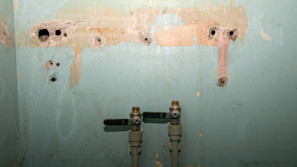 Best 24-hour water damage restoration  in South Point, OH
