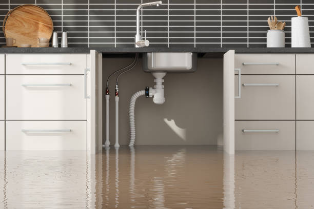 Best Carpet water damage restoration  in South Point, OH