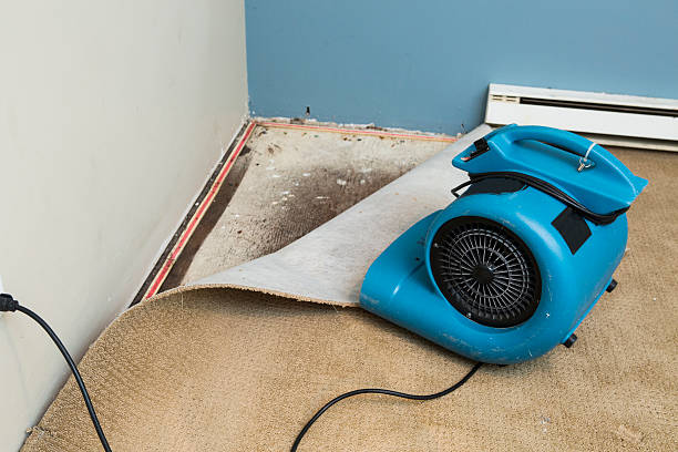Professional Water damage restoration in South Point, OH